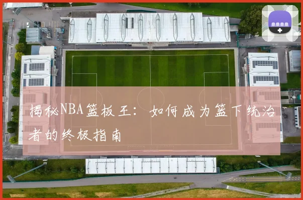 揭秘NBA篮板王：如何成为篮下统治者的终极指南