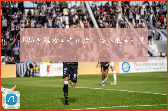 NBA夺冠赔率手机版：各队胜率一览